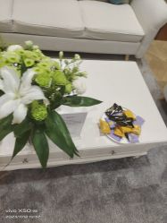 -HEYAN长风荷妍专业脱毛美肤
