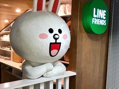 -line friends(明洞旗舰店)