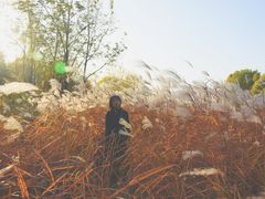 -大兴滨河森林公园