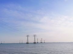 -宝安西湾红树林湿地公园