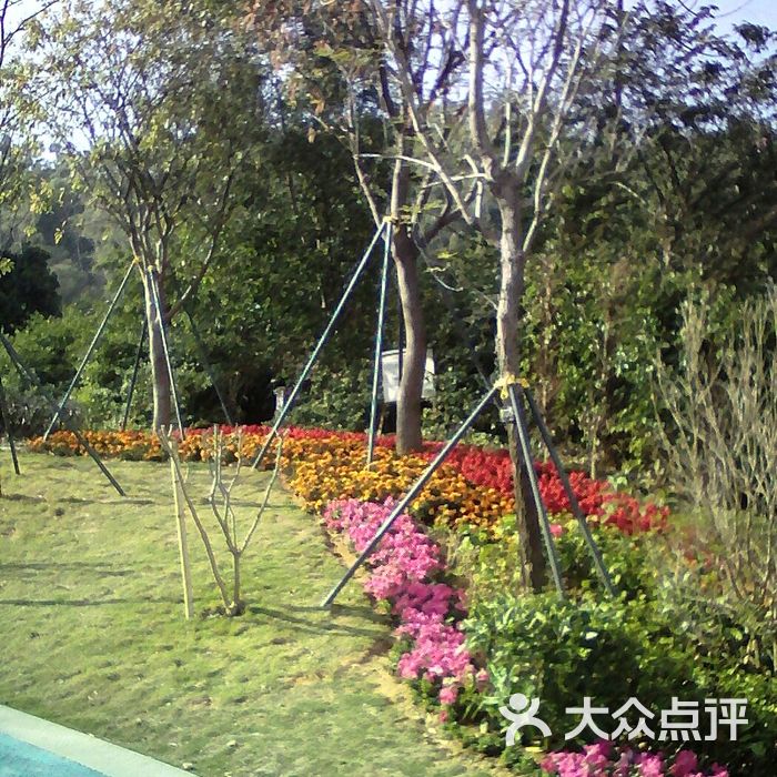 上梅林文体公园