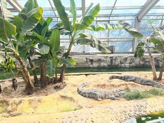 -石家庄市动物园