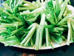 菠菜根-葛记红焖羊肉(和平路形象店)