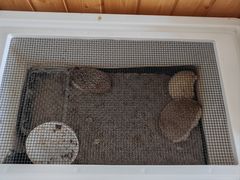 -居住主题小金星幼儿园