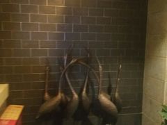 -长沙小天鹅戴斯酒店