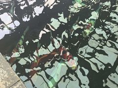 -观唐（国际）度假村温泉