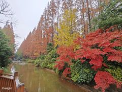 -上海怡沁园度假酒店