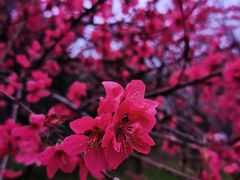 -洨河生态公园