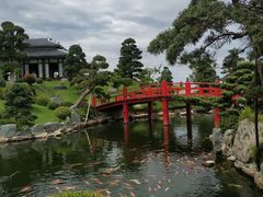 -芽庄珍珠岛游乐园