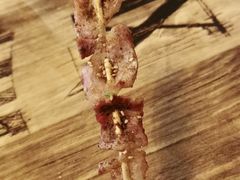烤五花肉-观景小胖烧烤(观景店)