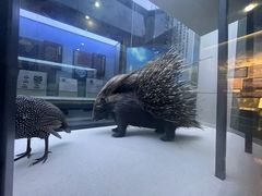 -国家自然博物馆