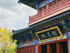 -广富林郊野公园