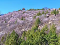-白水寺森林公园