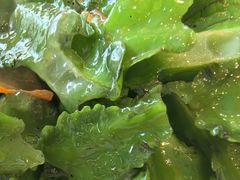 花椒油炒四角豆-日昌餐馆(亦庄店)