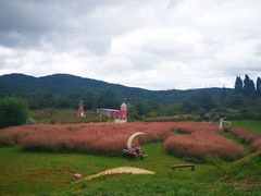 -名花谷生态庄园