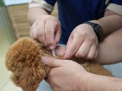 -爱侣宠医·鹦鹉专科·小型哺乳类·异宠专科(灵石路店)