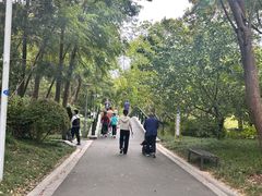 -青枫公园