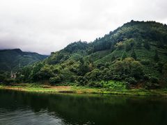 -新安江山水画廊风景区