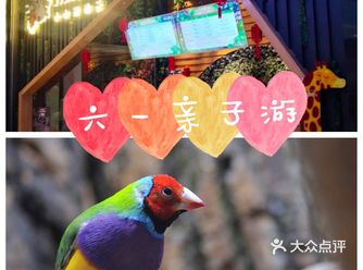 六一亲子游，与萌宠来一场约会～