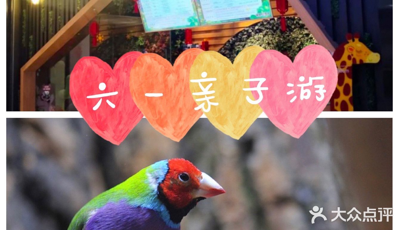 六一亲子游，与萌宠来一场约会～