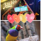 六一亲子游，与萌宠来一场约会～