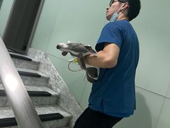-申普宠物医院·心脏介入·心血管微创(总院)