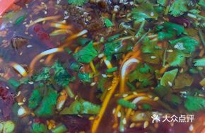 Spicy Chicken Noodle Soup