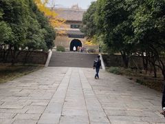 -灵谷景区