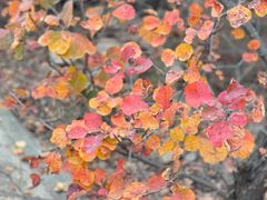 -北京西山国家森林公园