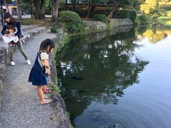 -水前寺成趣园