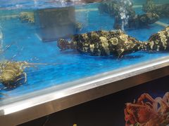 -盒马鲜生(顺义店)