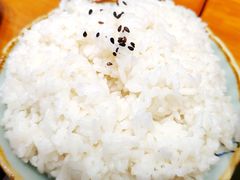 -犟骨头排骨饭(回龙观龙禧店)