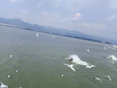 -昆明动物园