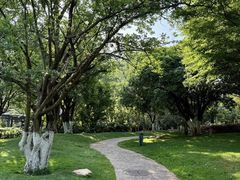 -呈贡滇池生态湿地公园