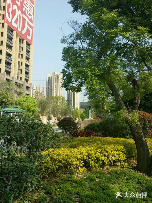 琴亭湖公园android_upload_pic图片