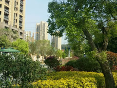 android_upload_pic-琴亭湖公园