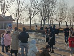 -天津妈祖文化园