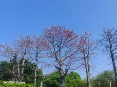 -琅岐红光湖公园