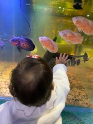 -酷嗒动物文化乐园(cutezoo西溪乐天城店)