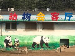 -西安秦岭野生动物园