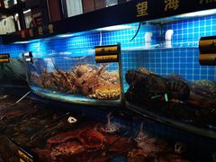 -望海潮海鲜店 特色家常菜(在海一方店)