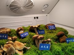 -束河人家(南锣鼓巷店)