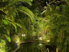 -碧桂园润杨溪谷温泉酒店