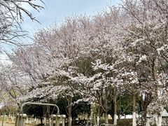-阳澄湖半岛旅游度假区