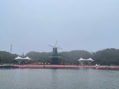 -上海鲜花港