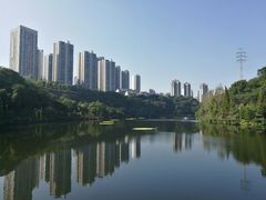-重庆彩云湖湿地公园