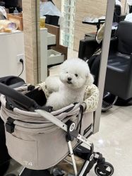 -OnHair造型