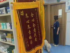 -博特宠物医院24h犬猫全科.骨科·异宠