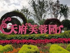 -天府芙蓉园