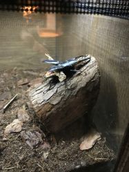 -Zoolung Zoolung动物主题公园(海信广场店)